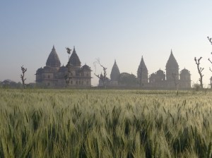 A sunrise walk through wheat fields with a glorious misty view of the temples 