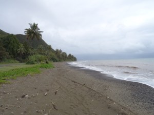 One of the better beaches